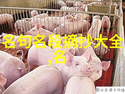 把酒送君天上去琼玉琚玉佩軝鸿列