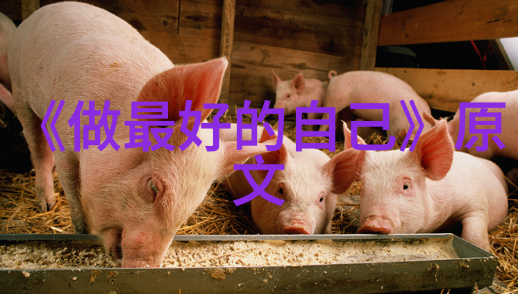 蔡琰 简介