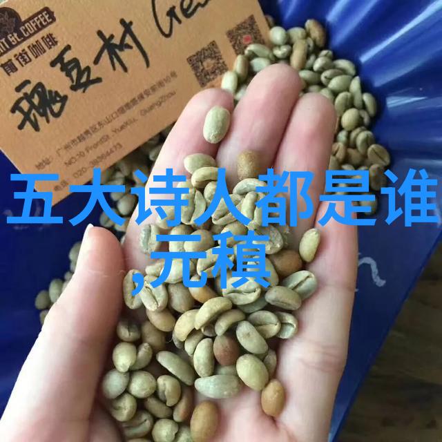 崔峒 简介