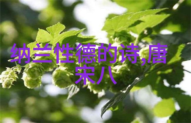 陈去病 简介
