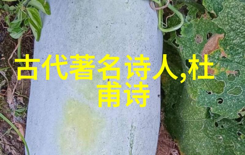 华岳 简介