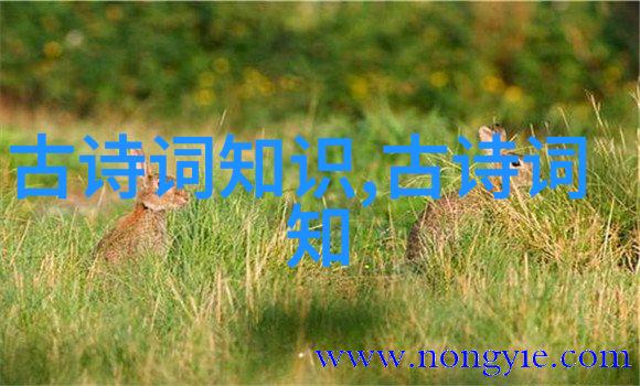 雨果名言