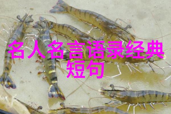 雨湿花房风斜燕子池阁昼长春晚