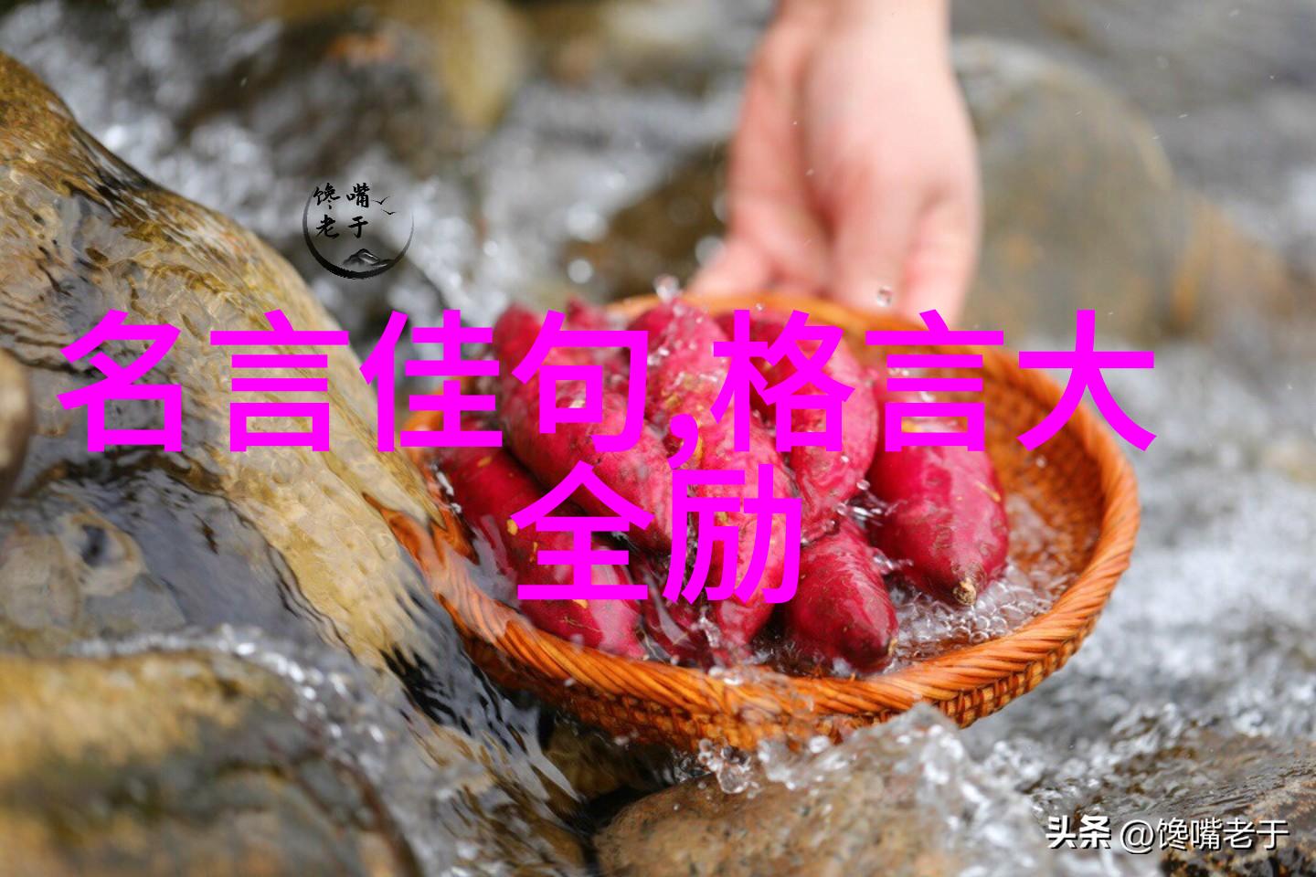 一叶度春风芳芳自相接