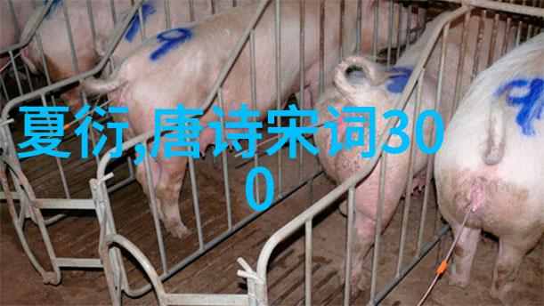 冯去非 简介