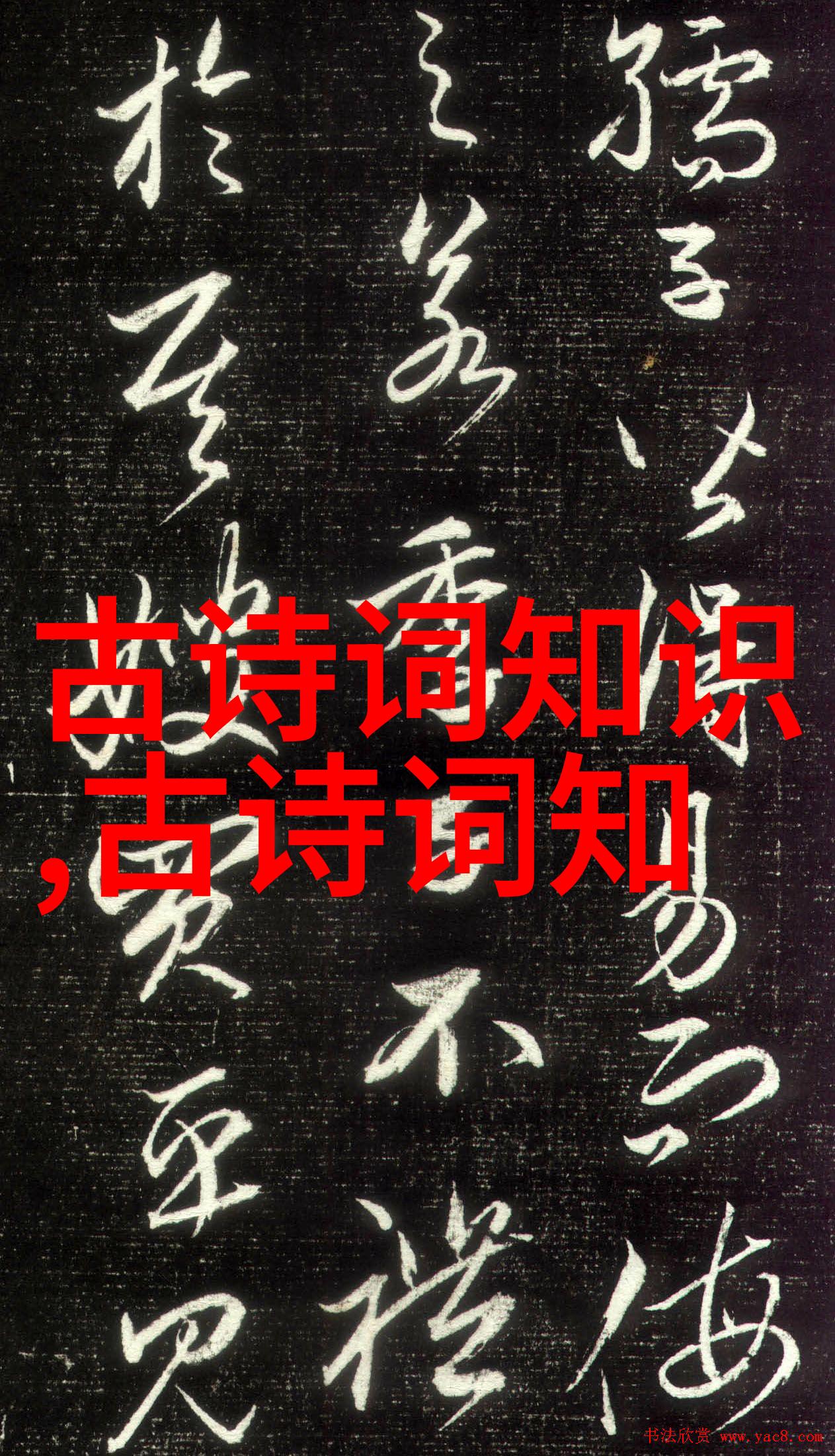 情不自禁造句及相关歌词lrc